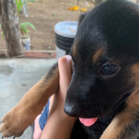 Meet your Posher, Katherine - Picture 1 of 1